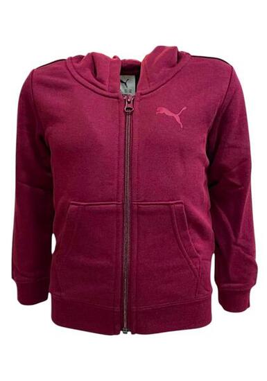 ESS GRAPHIC HOODIE COL 98