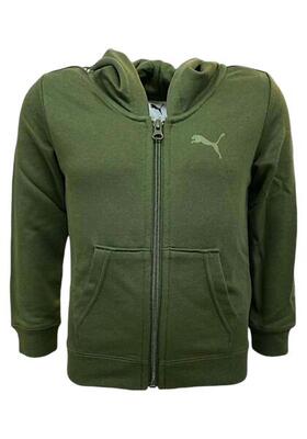 ESS GRAPHIC HOODIE COL 70