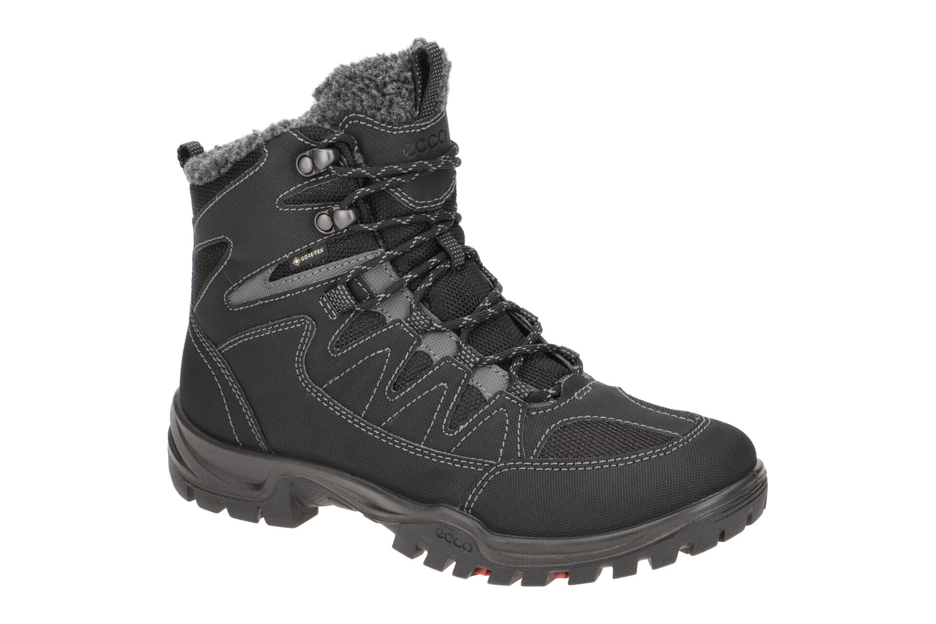 ECCO picture