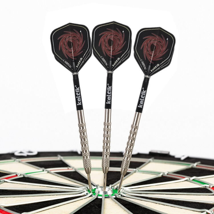 Steeldart Steel Dart Pfeile Keltik Carnac 24 g - 80% Tungsten 7/7
