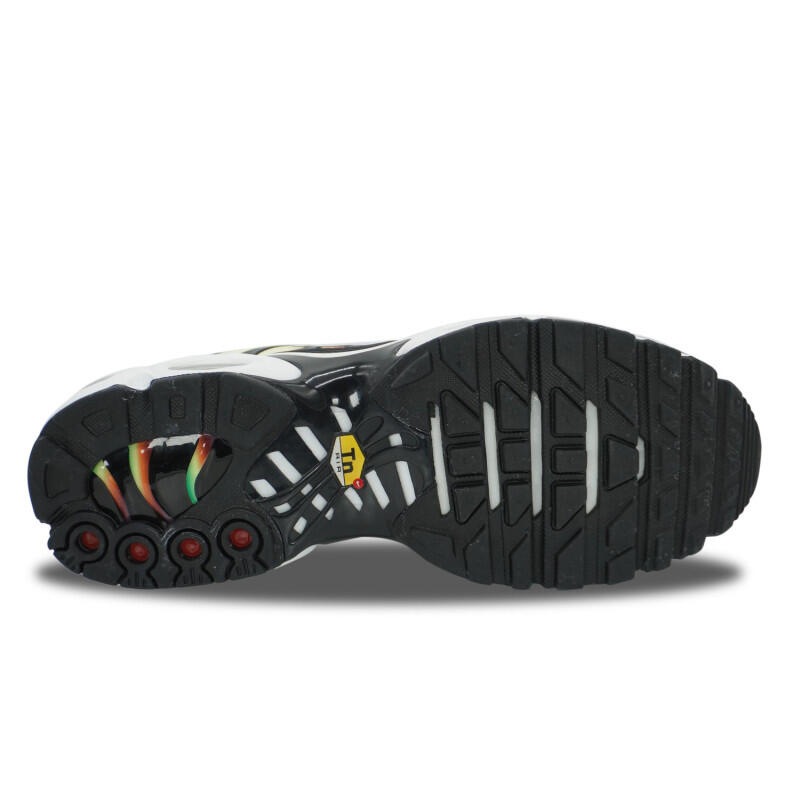 Nike Air Max Plus TN Rainbow 3/4