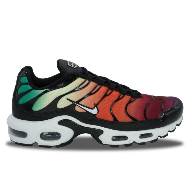 Nike Air Max Plus TN Rainbow 1/4