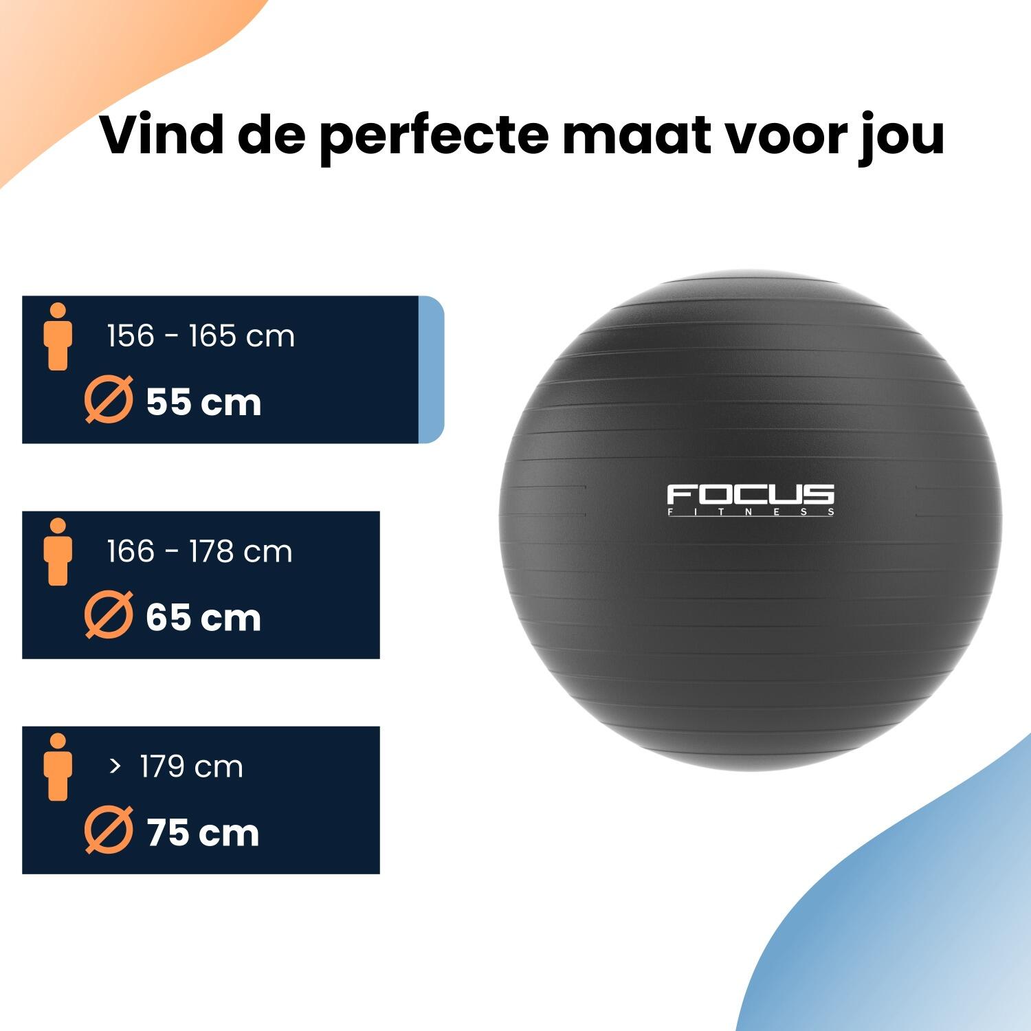 Gym Ball - Zwart - 55 cm 4/5