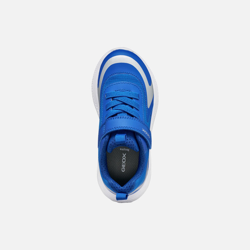 Baskets Garçon SPRINTYE   BOY Bleu Roi 7/7