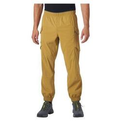 Pantalon Helly Hansen Vista Hike Homme Marron