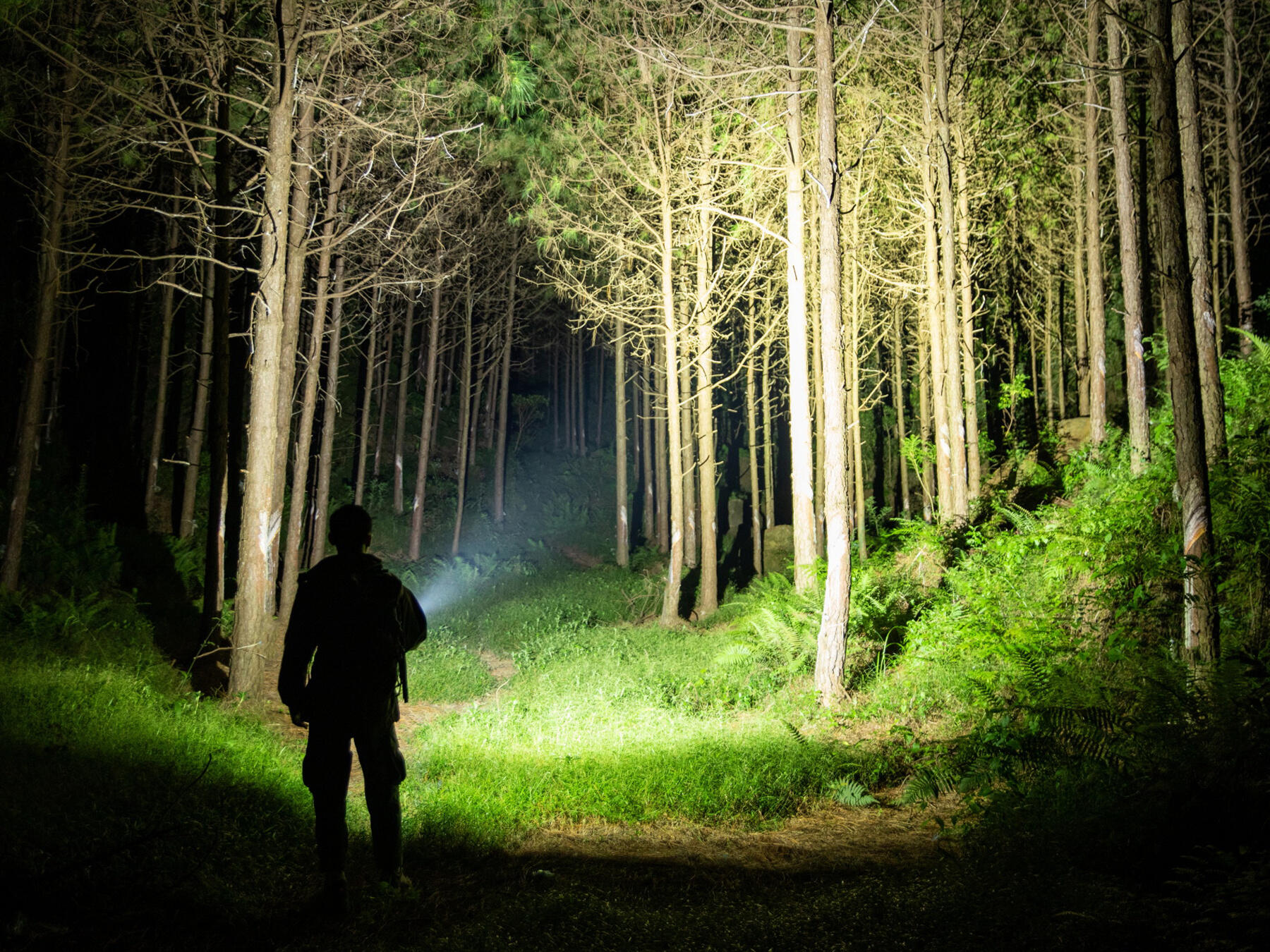 Olight Baton 4 - Lampe de poche EDC rechargeable, 1300 lumens, OD Green 2/7