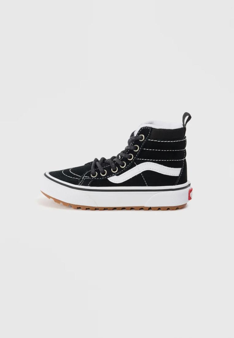 VANS picture