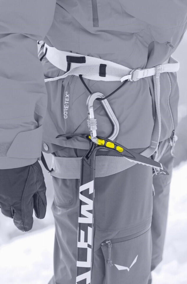 Piolet SALEWA ALPINE-X ICE 65 cm 4/7
