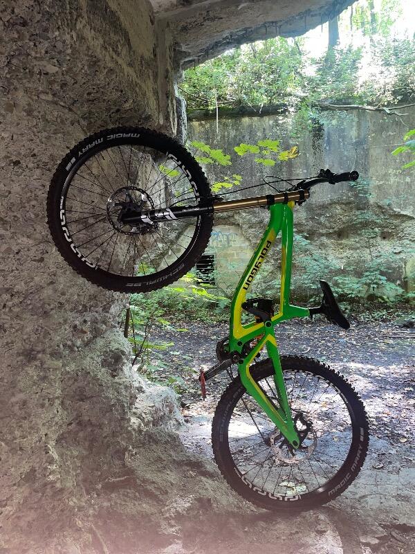 Entre Particuliers - Vélo DH polygone collosus 5/5