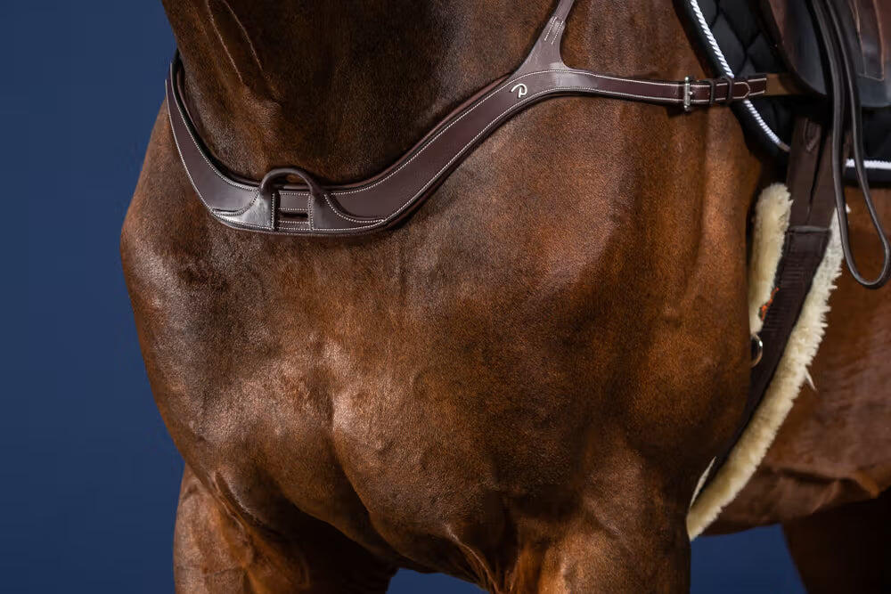 Collier de chasse pour cheval anatomique Dy'on 3/4