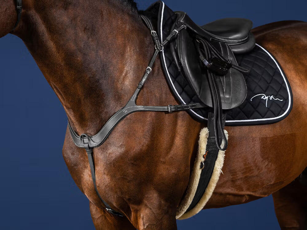 Collier de chasse pour cheval anatomique Dy'on 4/4