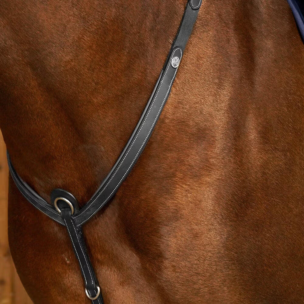 Bridge hunting collar for horses Dy'on 3/6