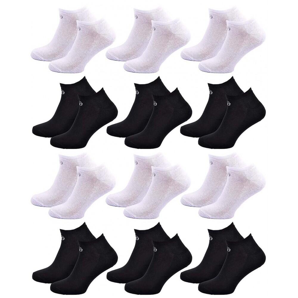 SERGIO TACCHINI picture