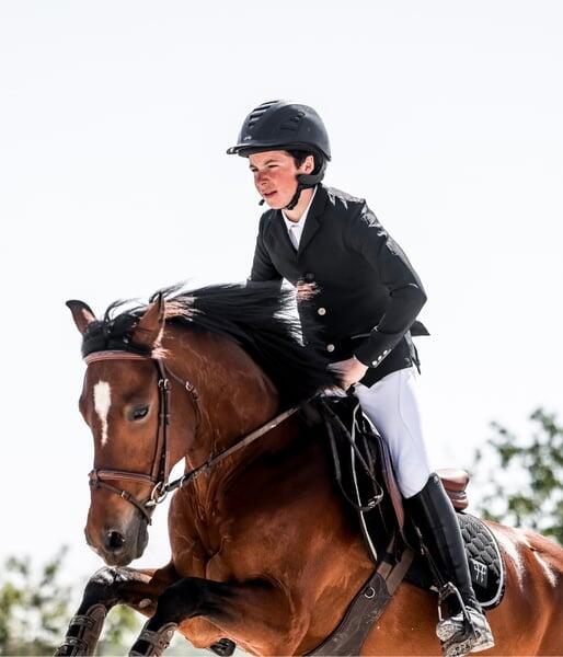 HORSE PILOT picture