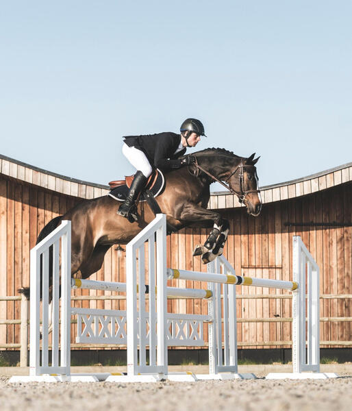 Veste de concours d'équitation Aerotech 3/4