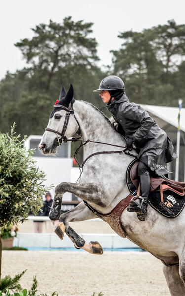 HORSE PILOT picture