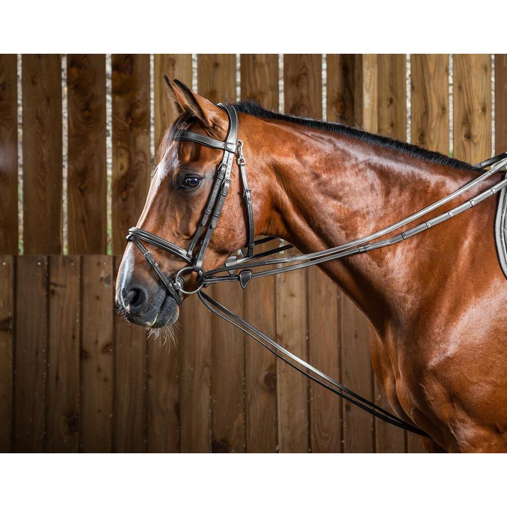 Leather horse reins Dy'on Hunter 1/2