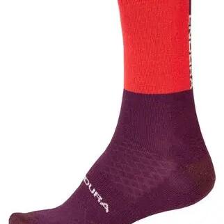 PURPLE / RED