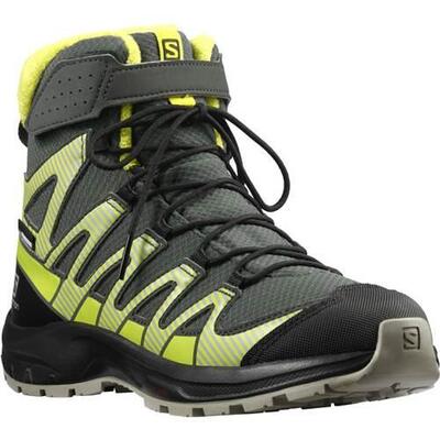 Schoenen universeel voor vrouwen salomon xa pro v8 winter mid cswp j