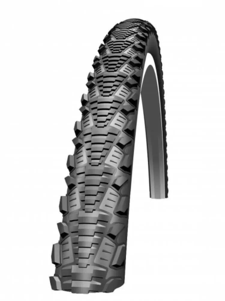 SCHWALBE picture