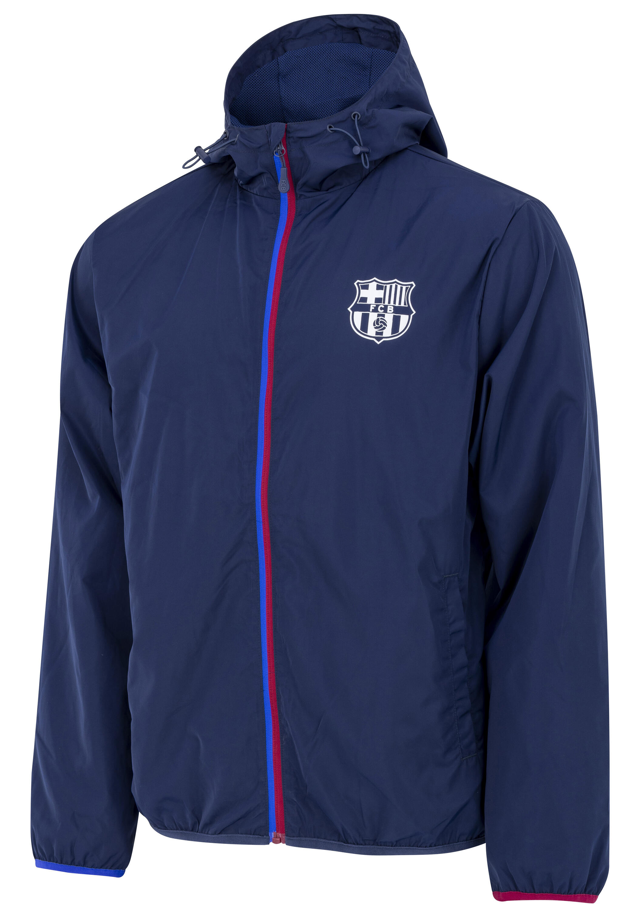 FC BARCELONA picture