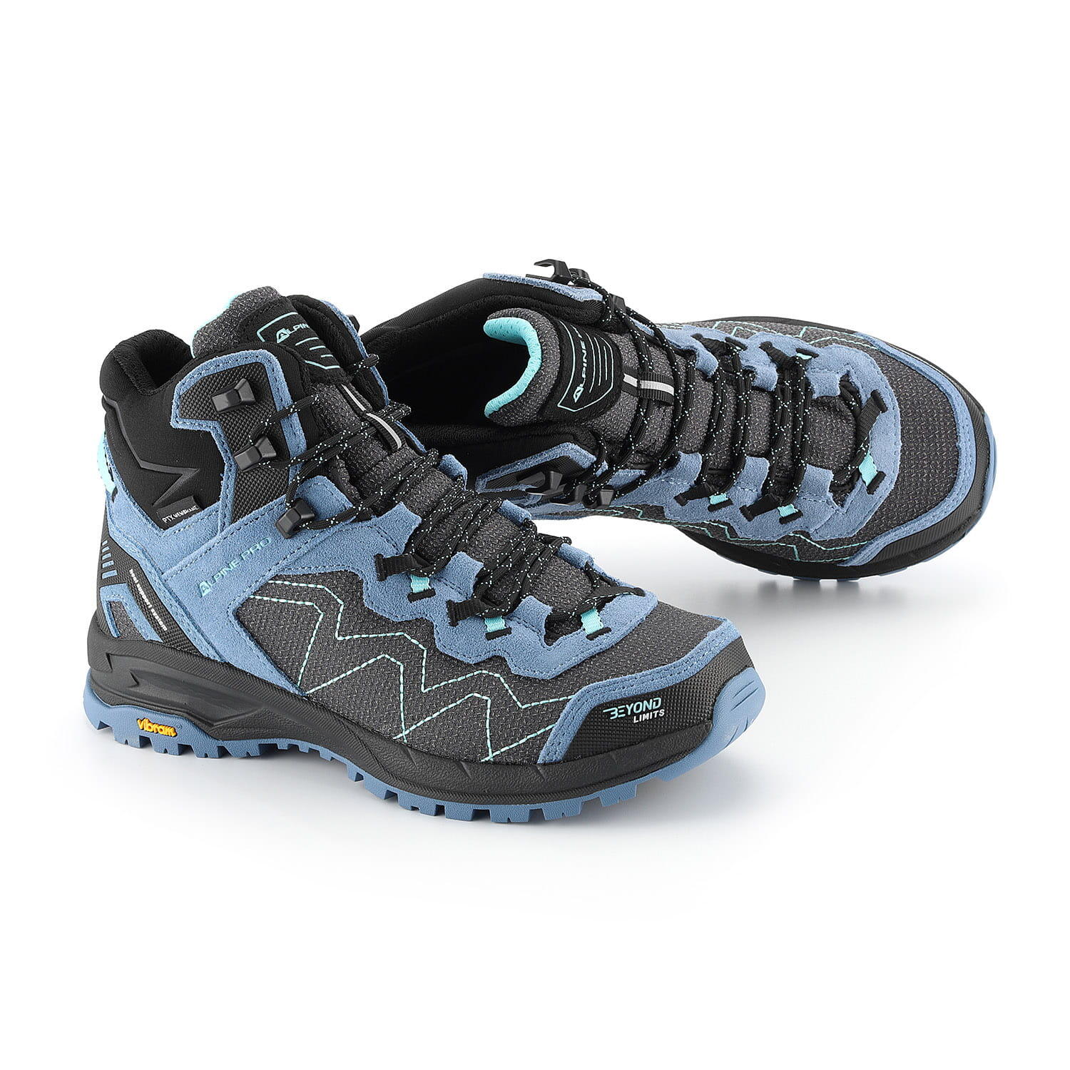 ALPINE PRO picture