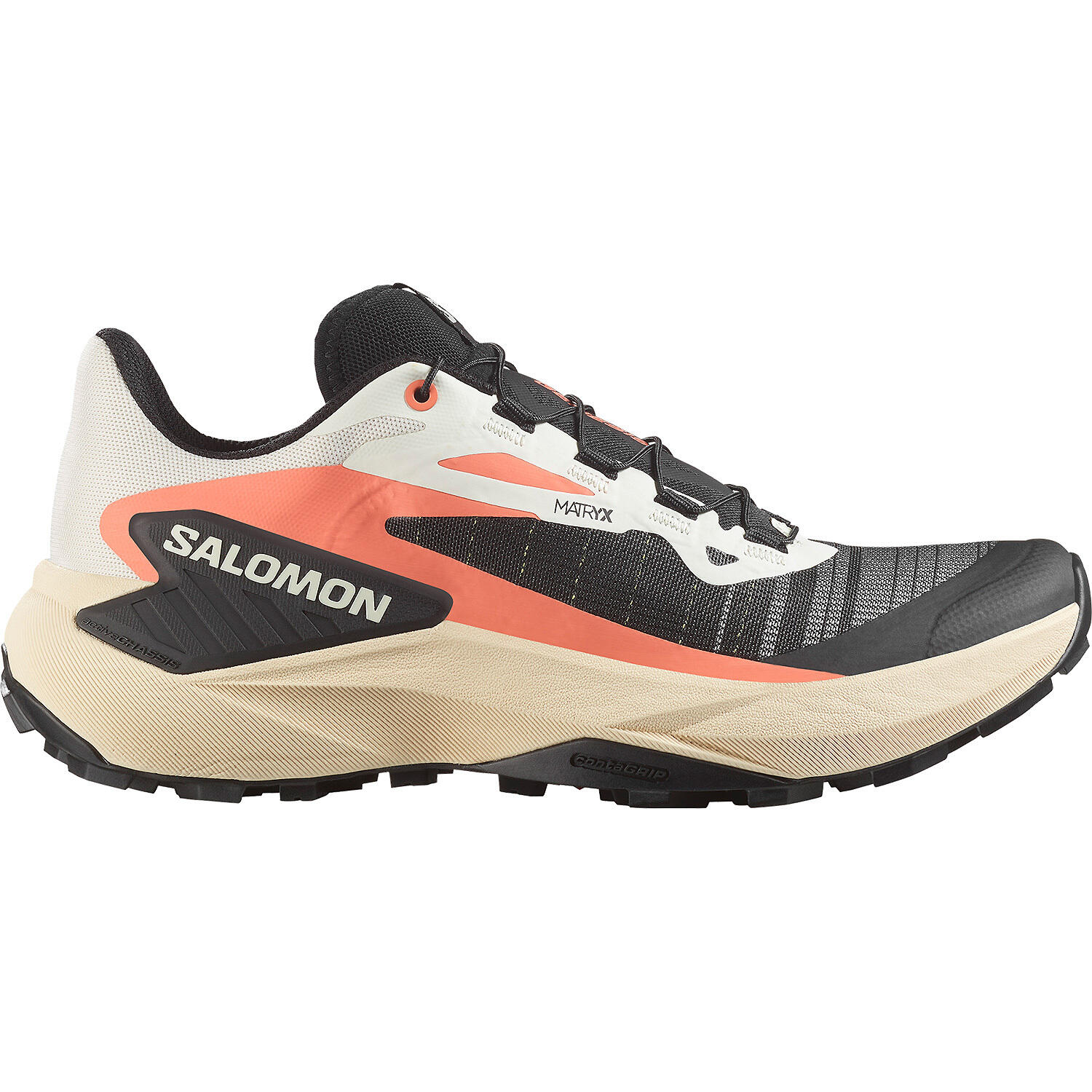 SALOMON picture