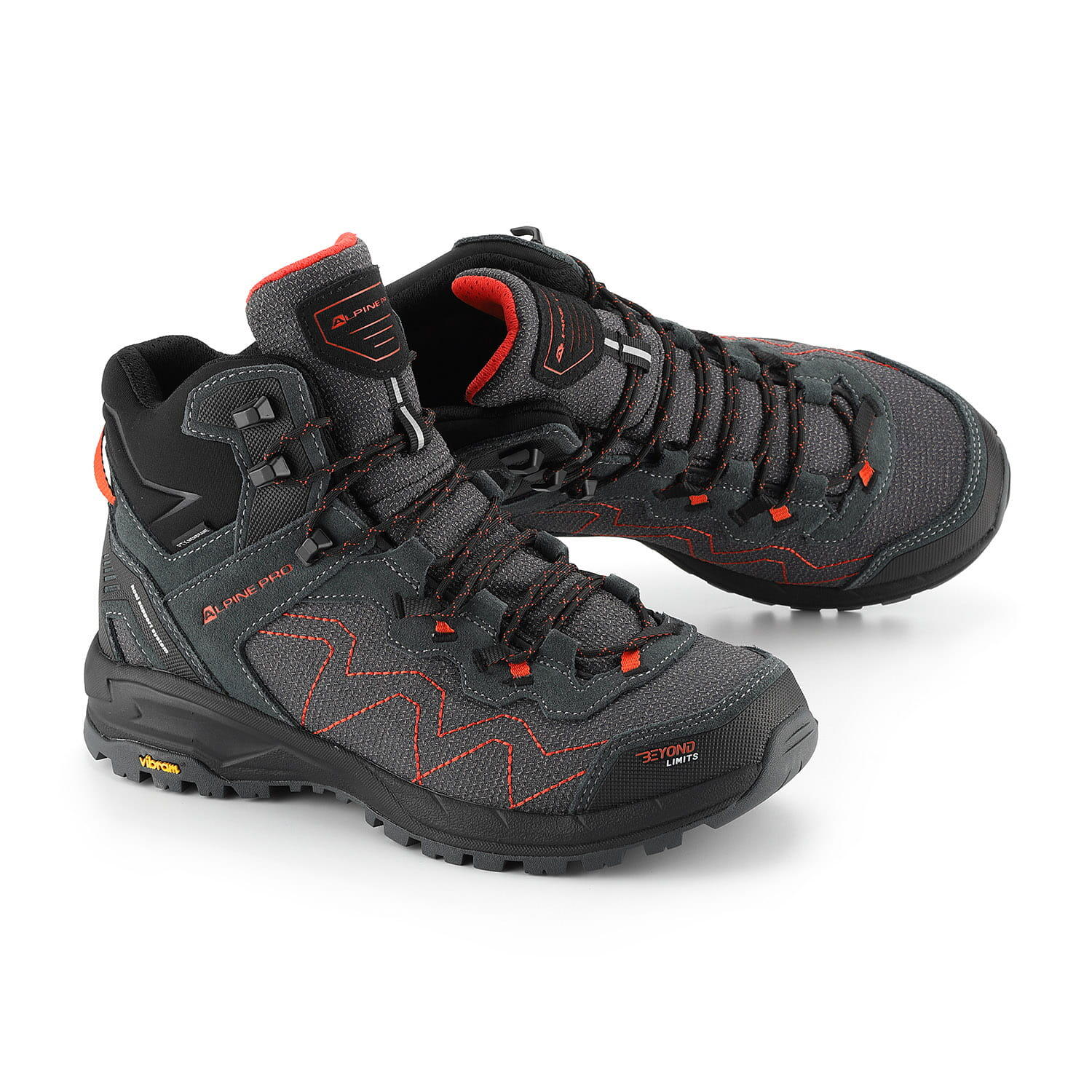 ALPINE PRO picture