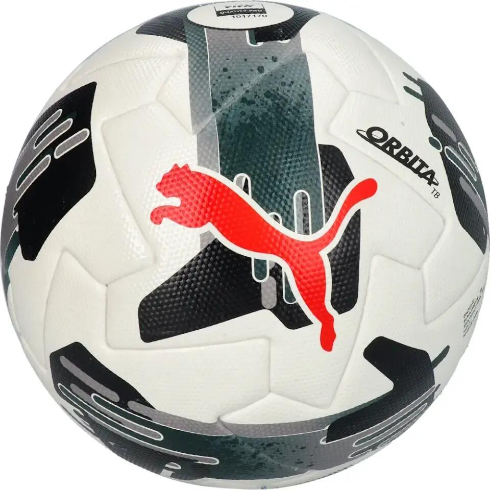 PUMA picture