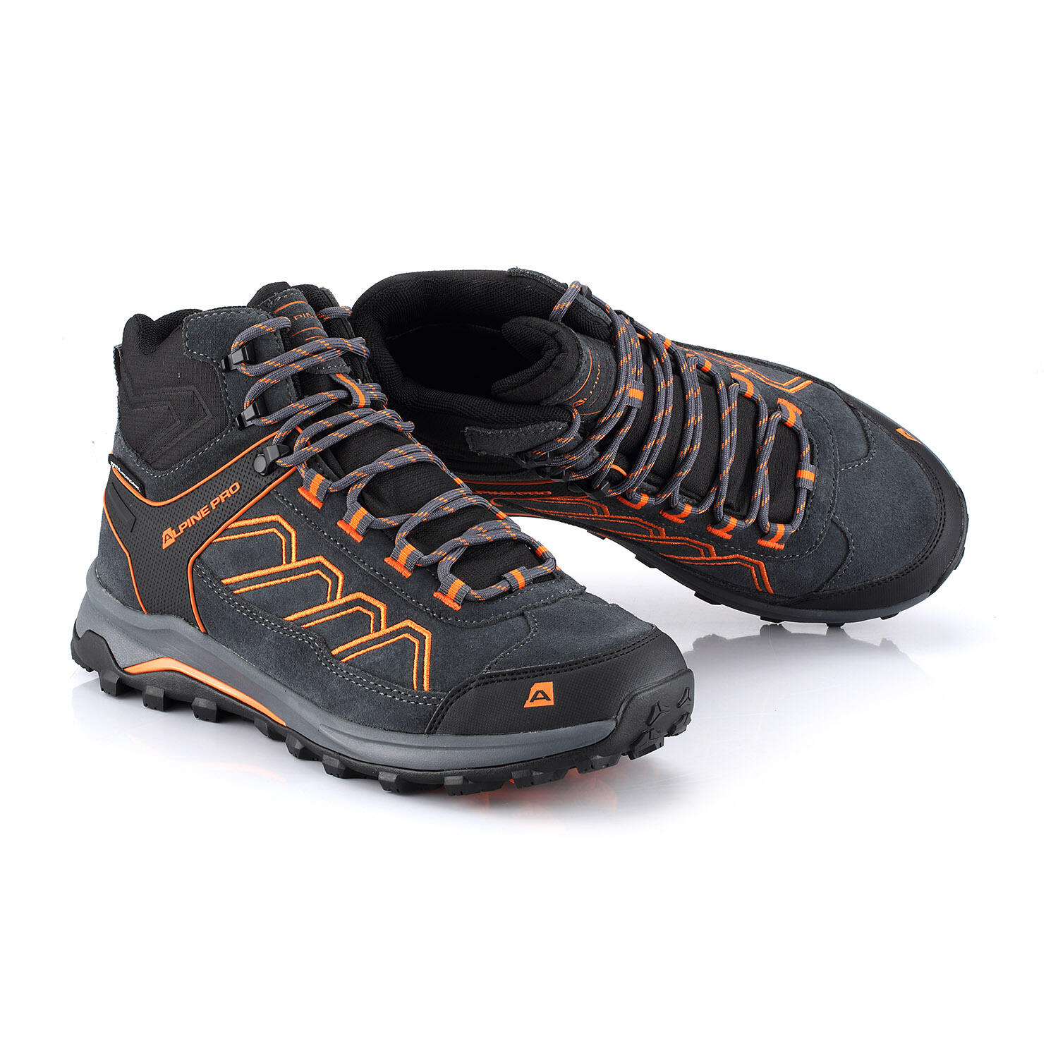 ALPINE PRO picture