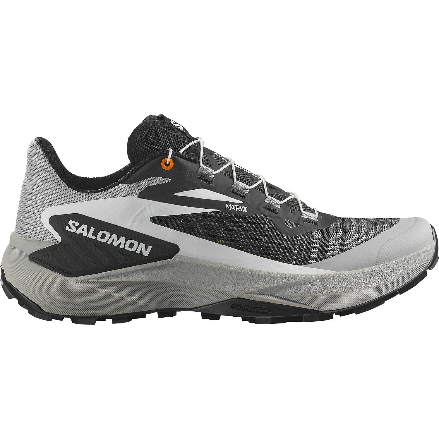 SALOMON picture