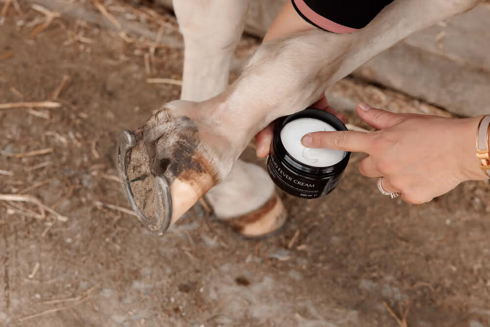 Mud fever cream for horses Grooming Deluxe 2/4