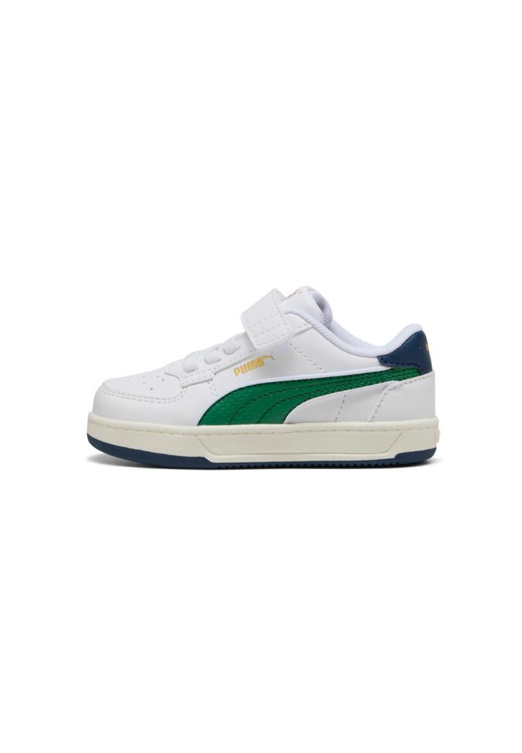 PUMA picture