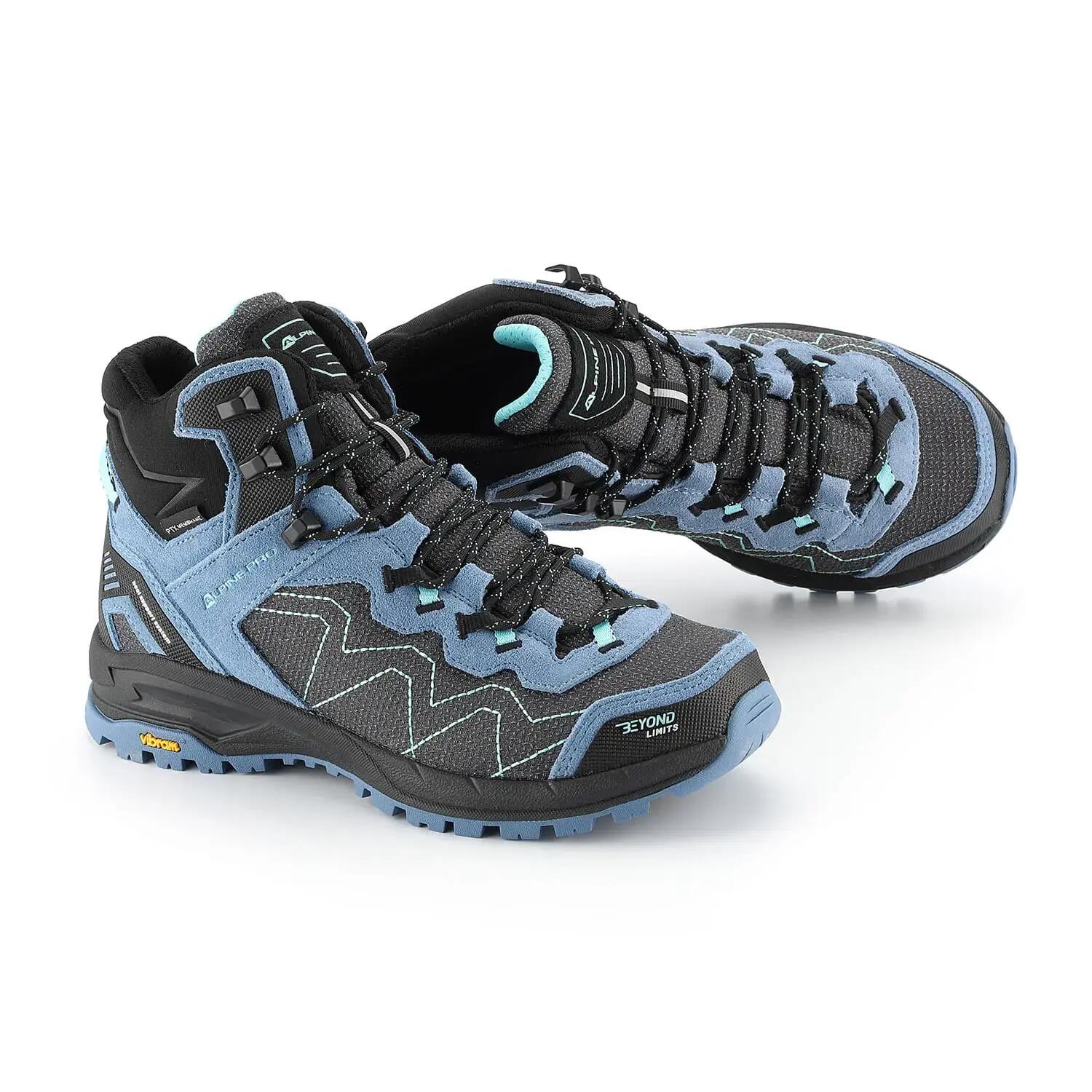 ALPINE PRO picture