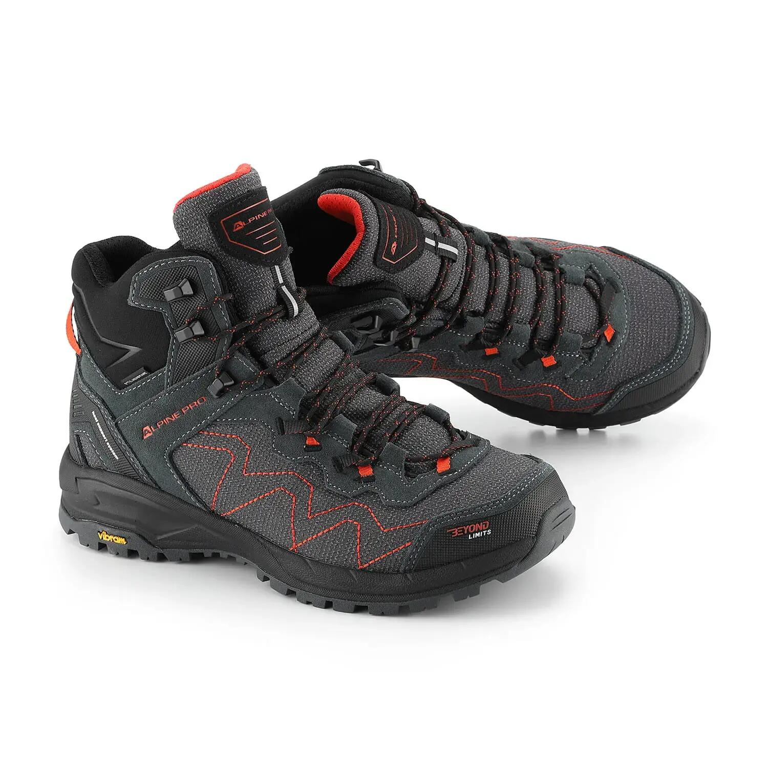ALPINE PRO picture
