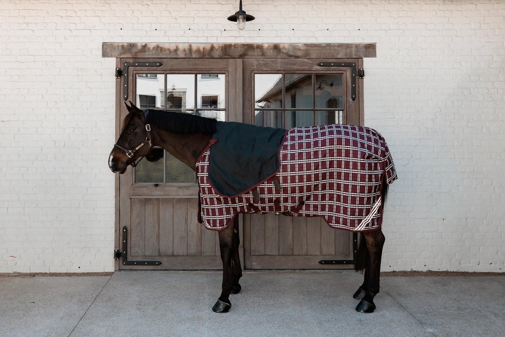 Manta de exterior para caballos Kentucky All Weather Comfort 0g 2/5