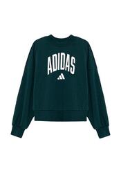 Sweatshirts polaires pour enfant Adidas Essentials Vert.