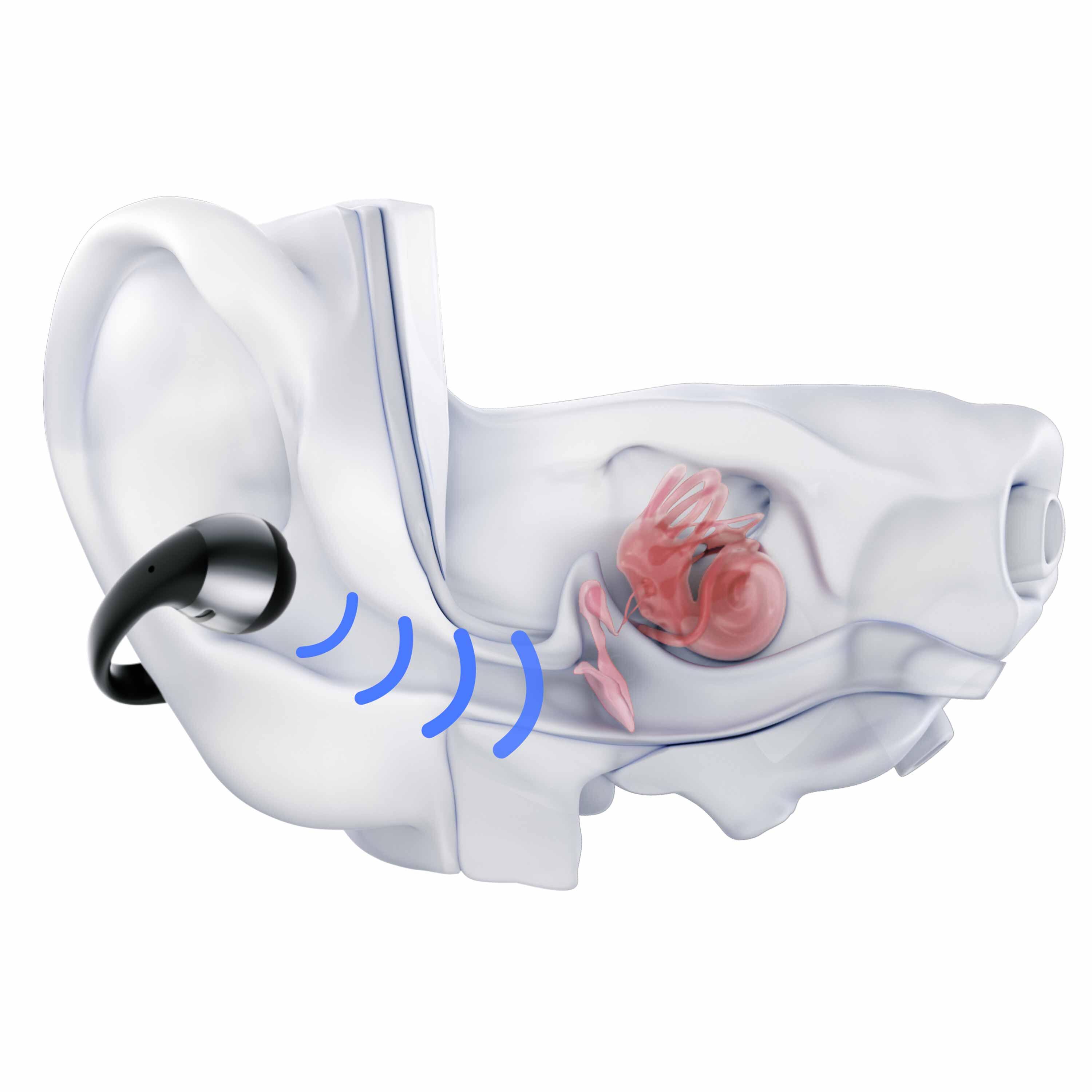 Ecouteurs Bluetooth Shokz - OPENDOTS ONE 5/7
