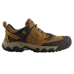 Chaussures de trekking Keen Ridge Flex WP pour hommes