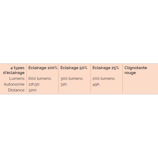 LANTERNE ANTI-INSECTES - CAO 3/3
