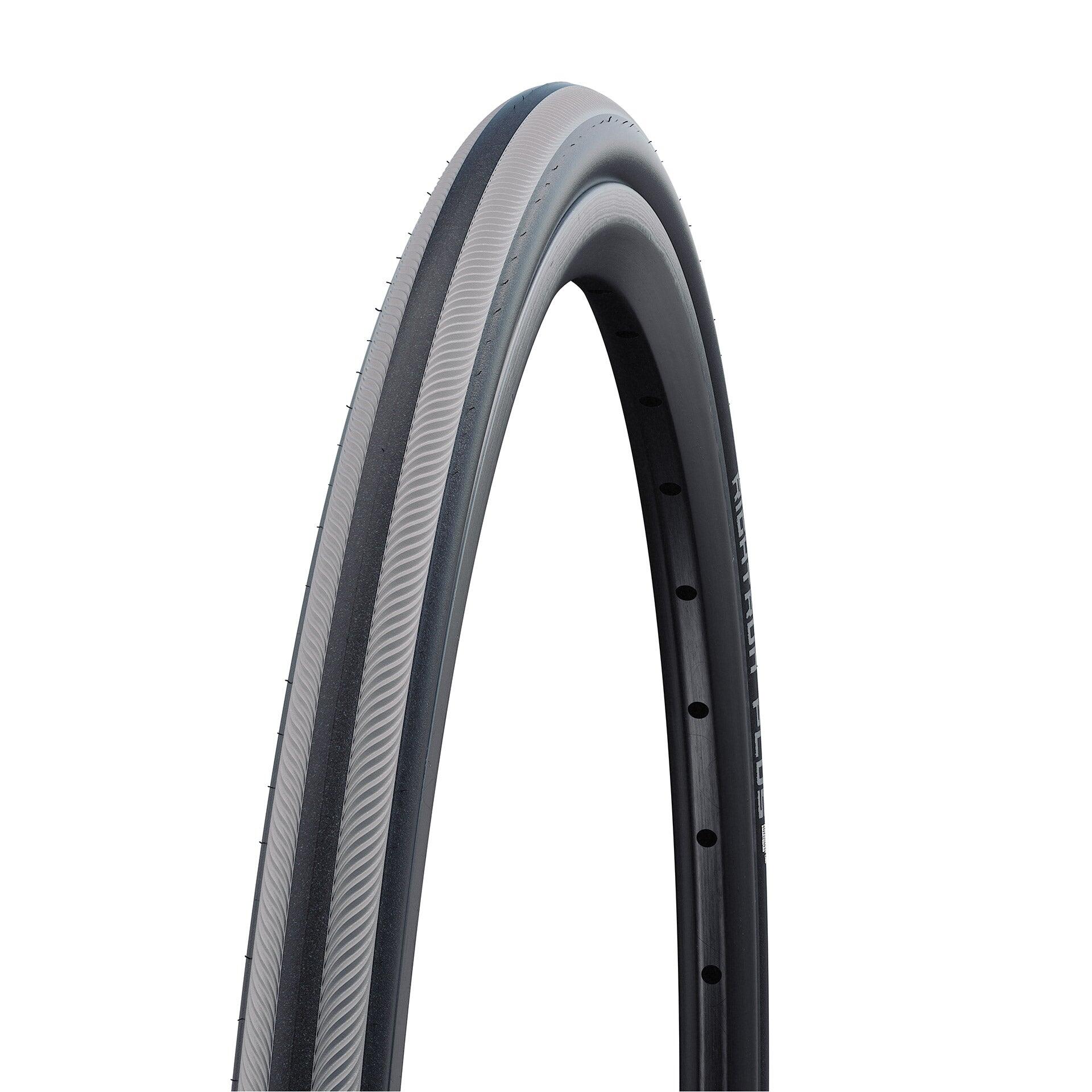 SCHWALBE picture
