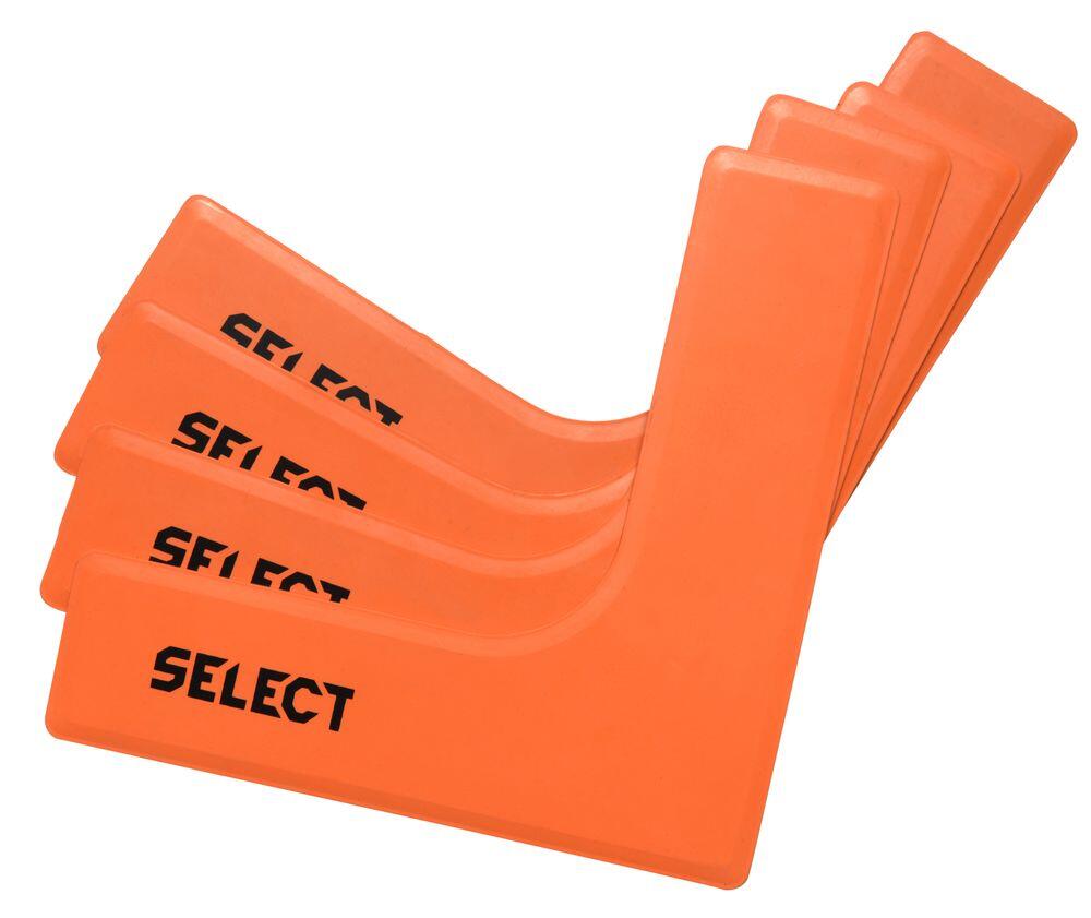 SELECT picture