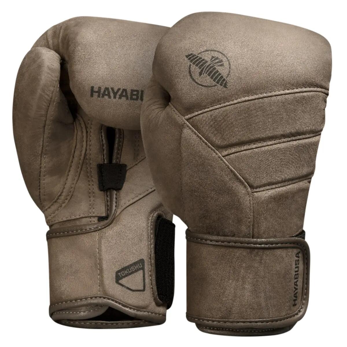 HAYABUSA picture