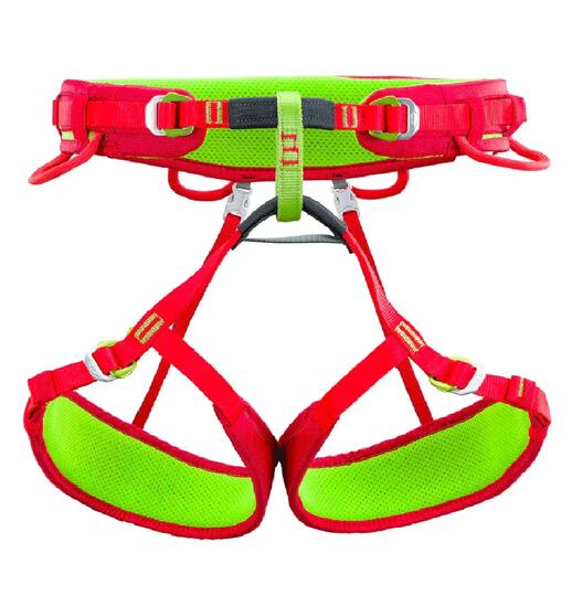 Harnais d'escalade Climbing Technology Anthea NE - vert/rose