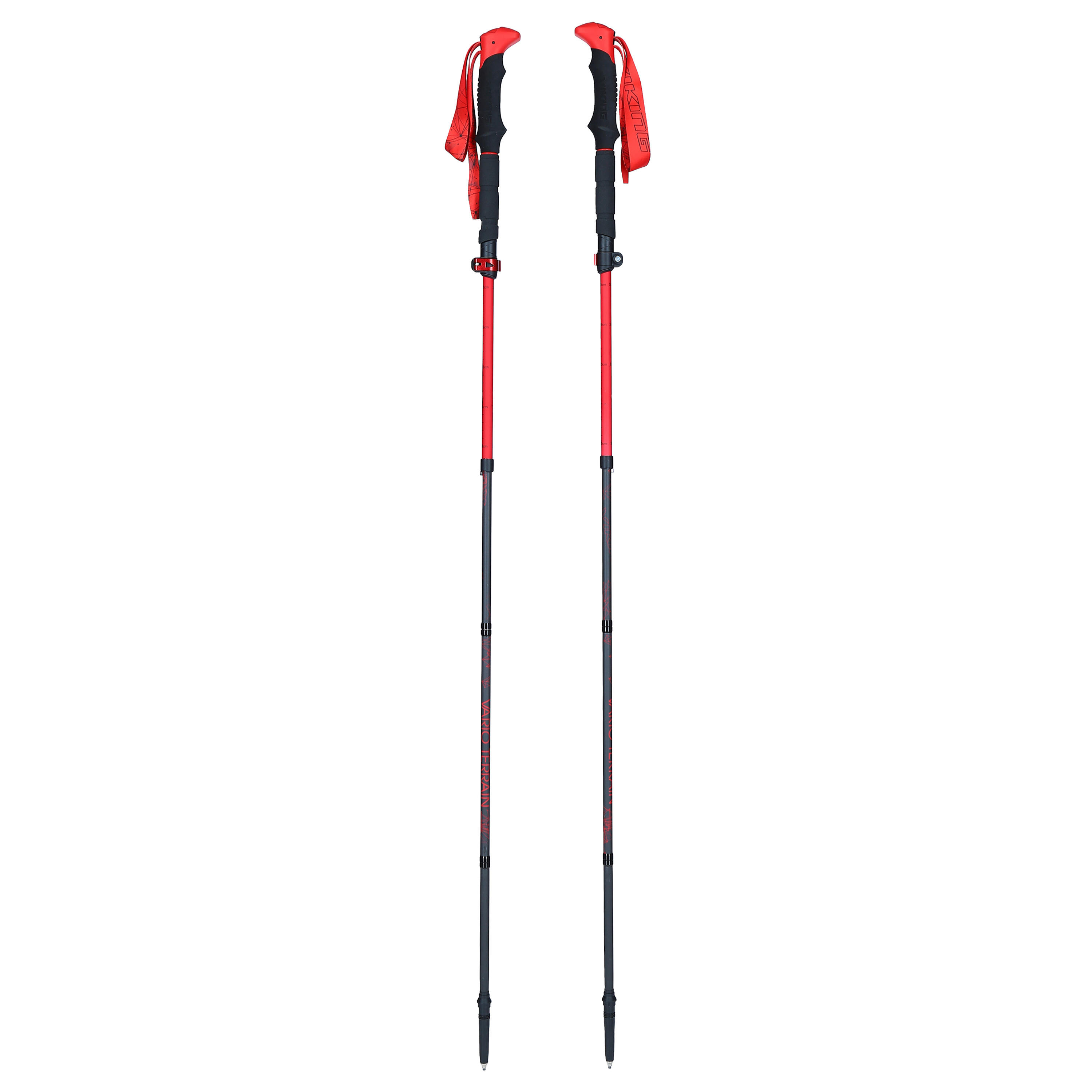 Bastões VIKING Spider FS trekking 2/5