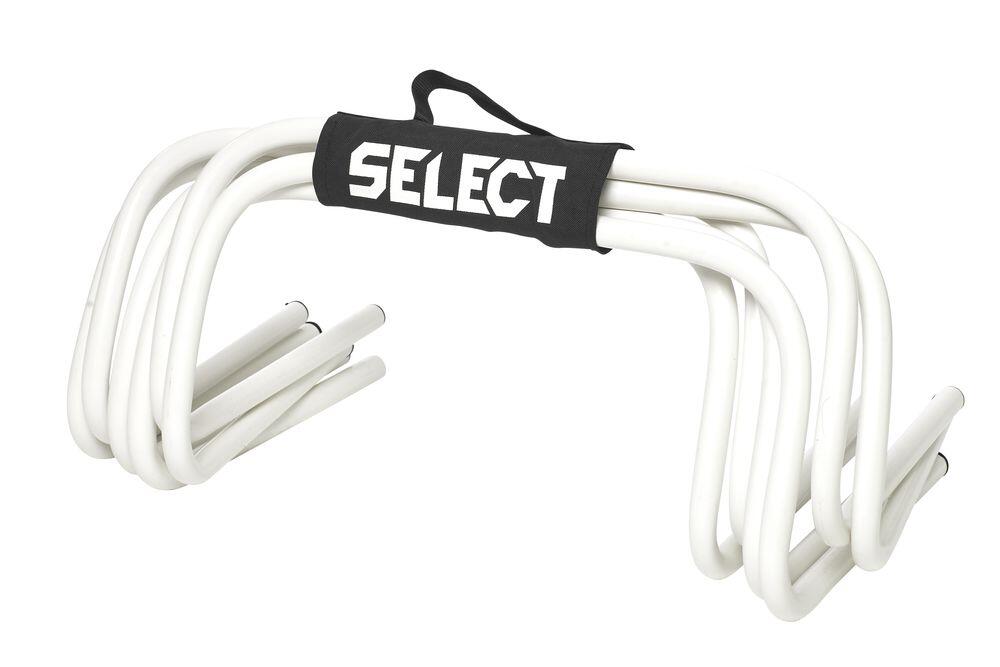 SELECT picture