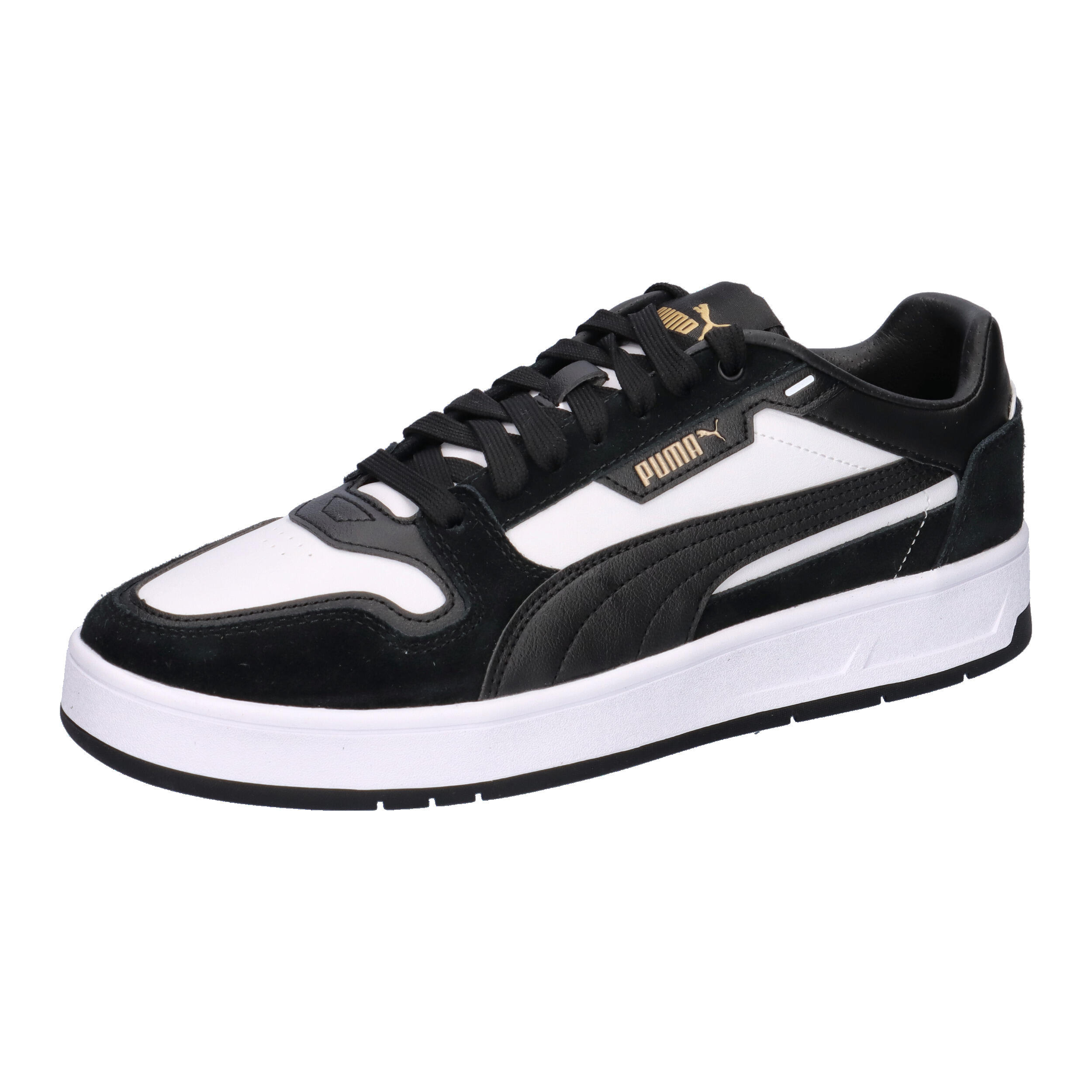 PUMA picture