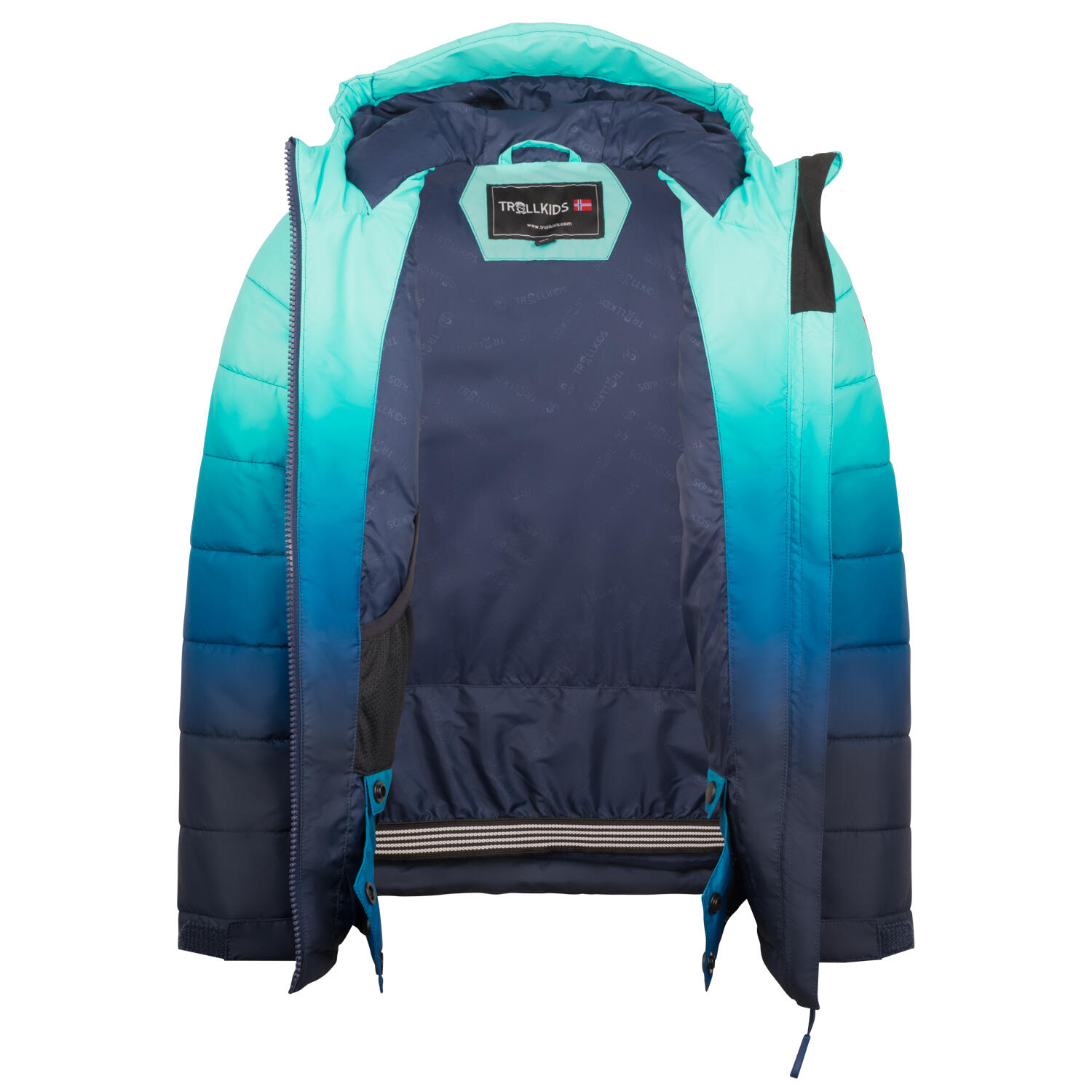 Ski-/Snowboardjacke Hemsedal Skiing unisex 3/3