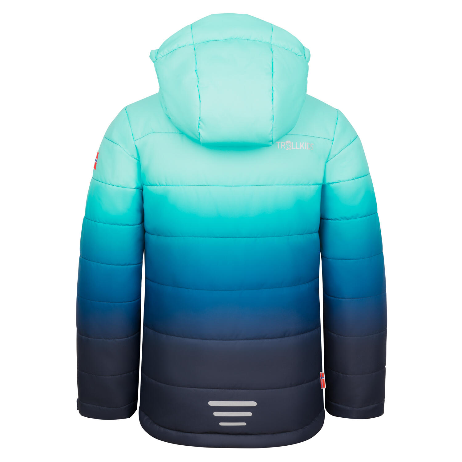 Ski-/Snowboardjacke Hemsedal Skiing unisex 2/3