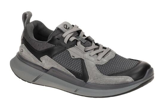 Baskets Ecco Biom 2.2